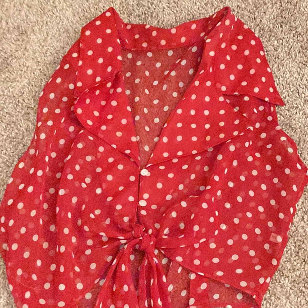 Vintage Polka Dot Sheer Vest